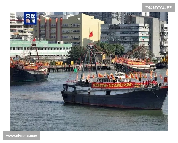 瑞士球迷灯光拼国旗创下最大人浪壮观场面引发全球关注 瑞士球迷灯光拼国旗创下最大人浪壮观场面引发全球关注